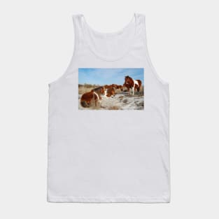 Wild horses, wildlife, gifts, painted horse, Assateague Island, Maryland Tank Top